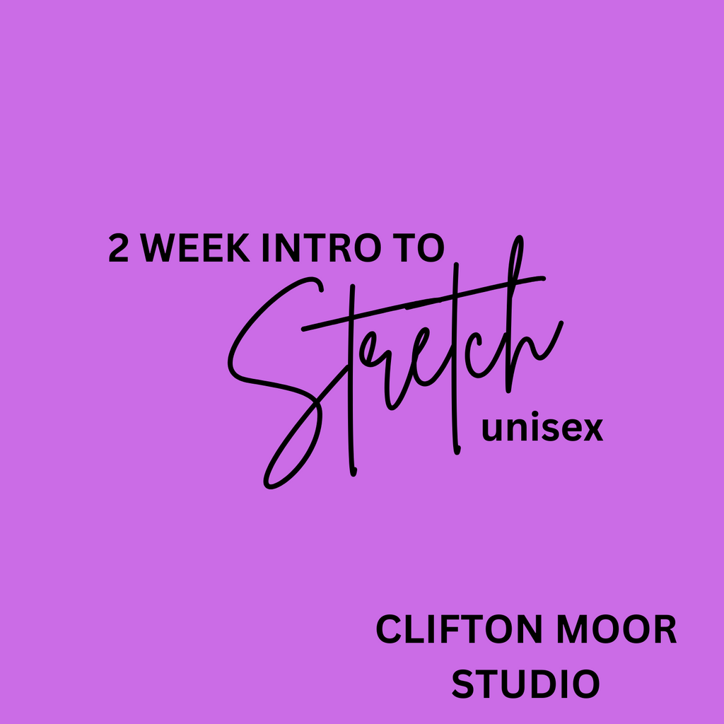 2 Week Intro to Sewing With Stretch Fabric Workshop