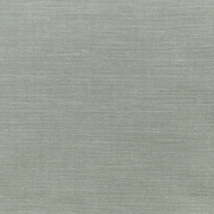 Green Chambray Fabric